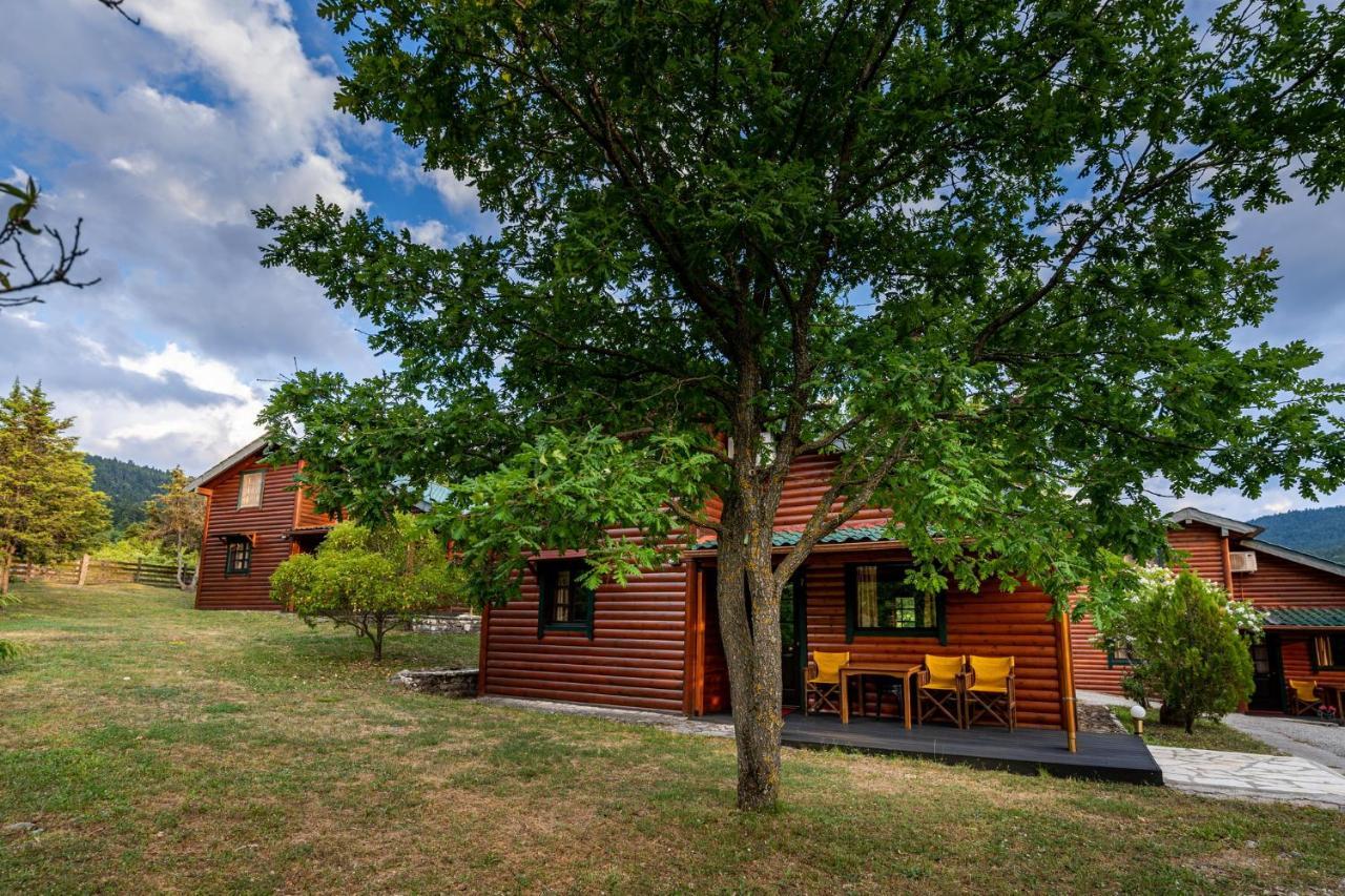 Chalet Likouresi Village Karpenisi Exterior photo